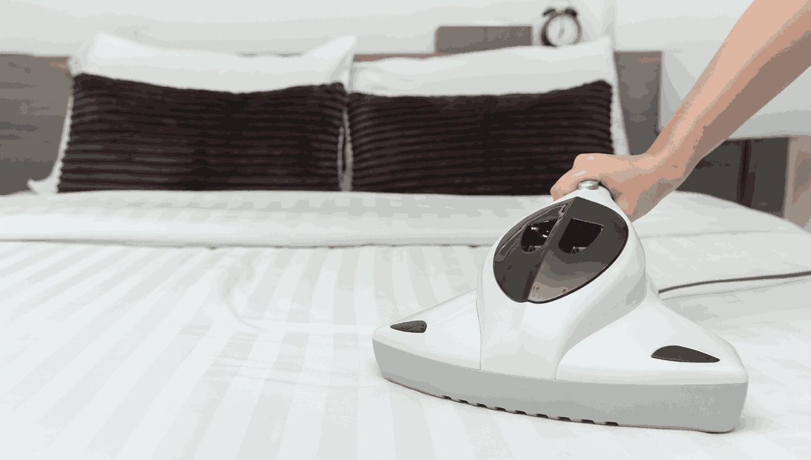 Professional Mattress Cleaning Ceres
